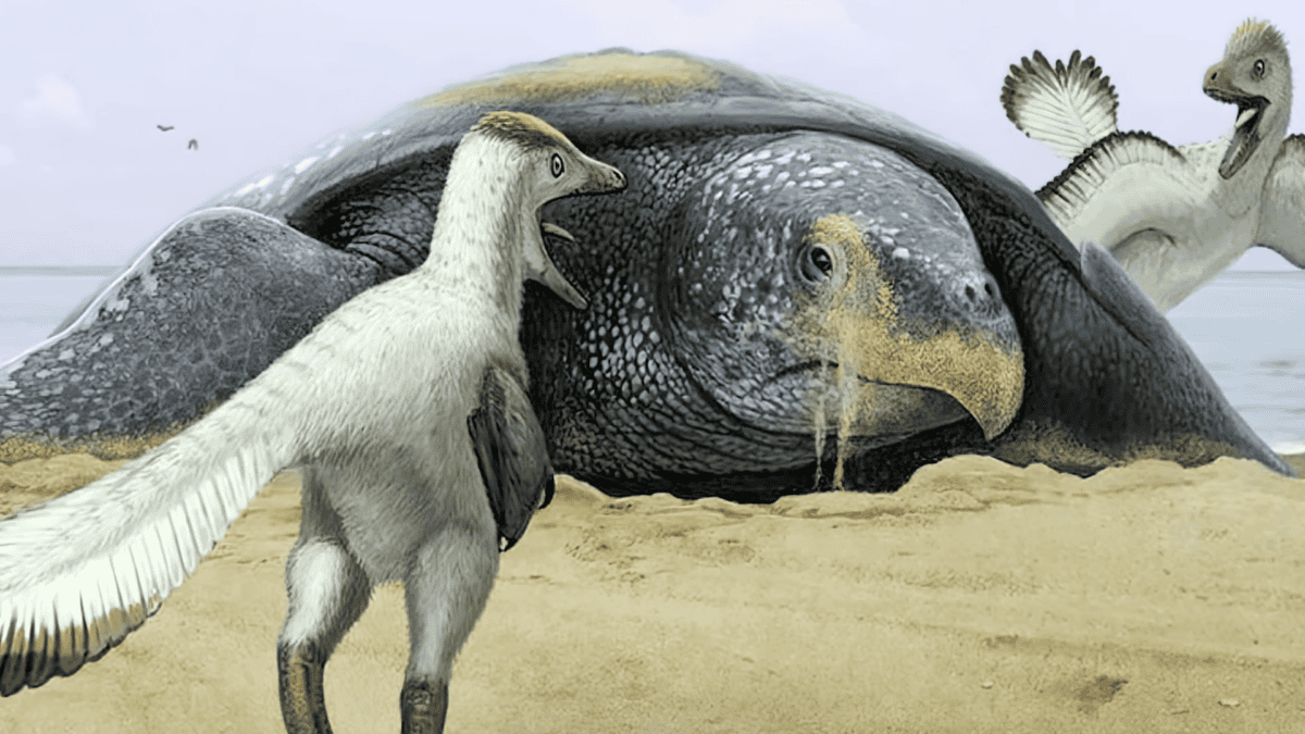 Archelon and some smaller dinosaurs.