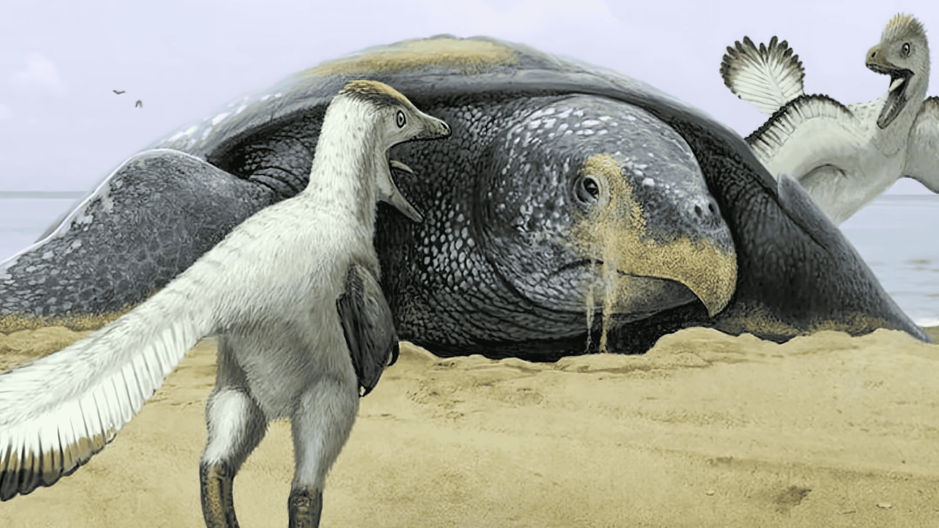 Archelon and some smaller dinosaurs.