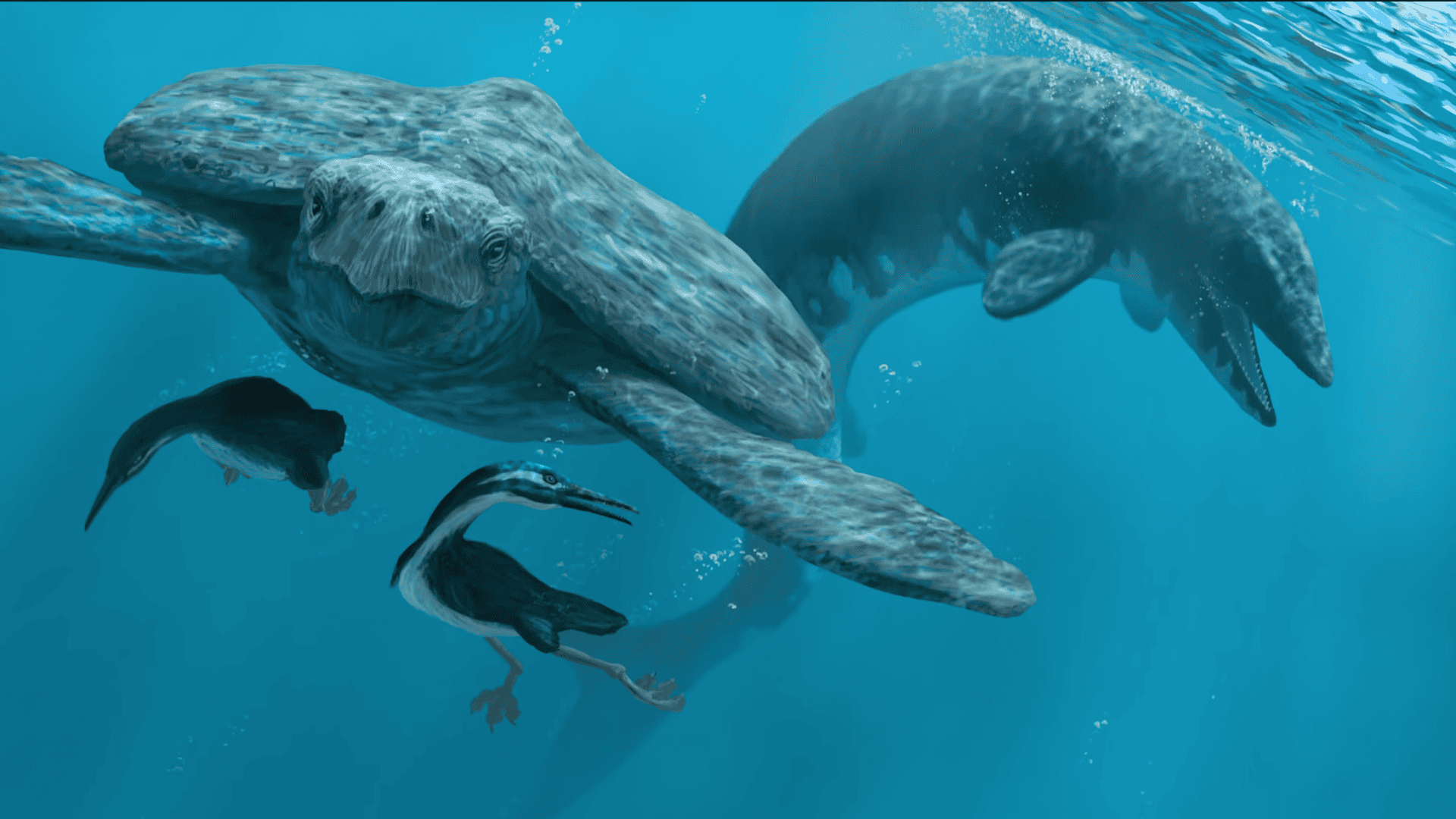 Archelon and other prehistoric sea life.