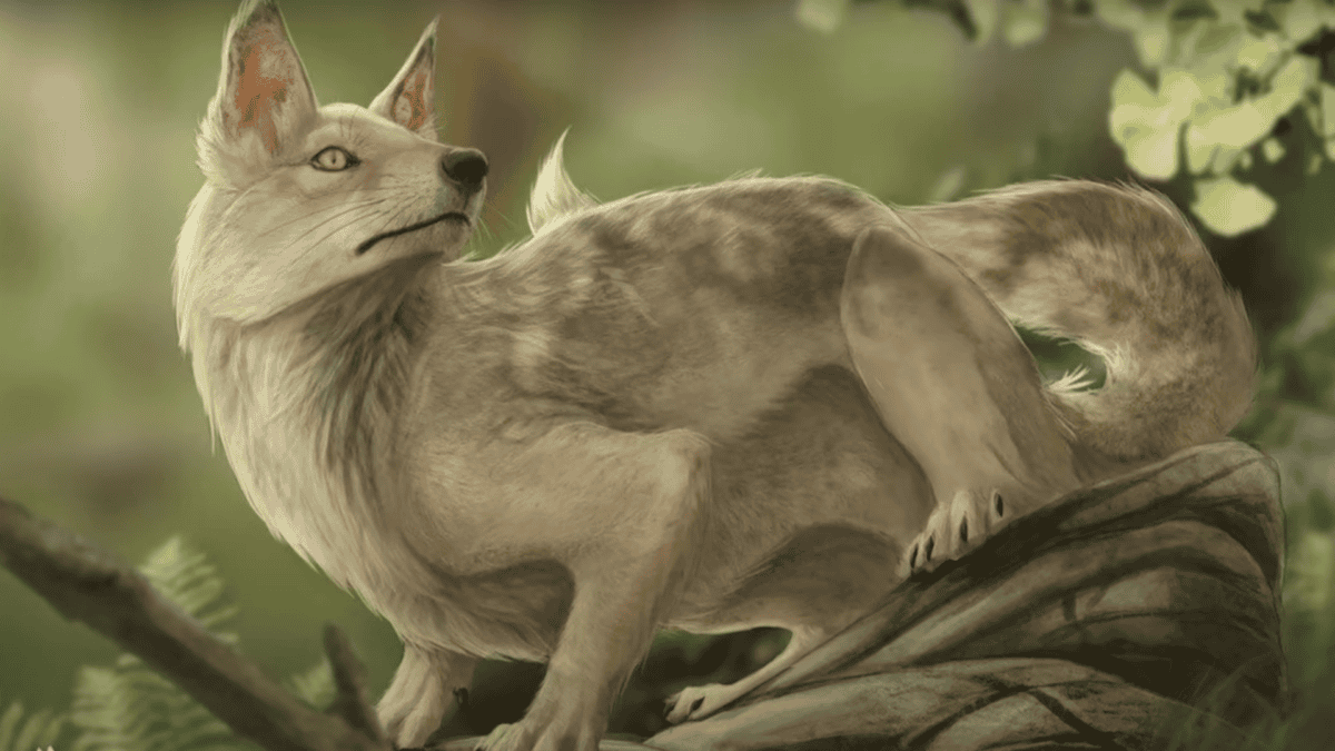 Prehistoric dog on a branch.