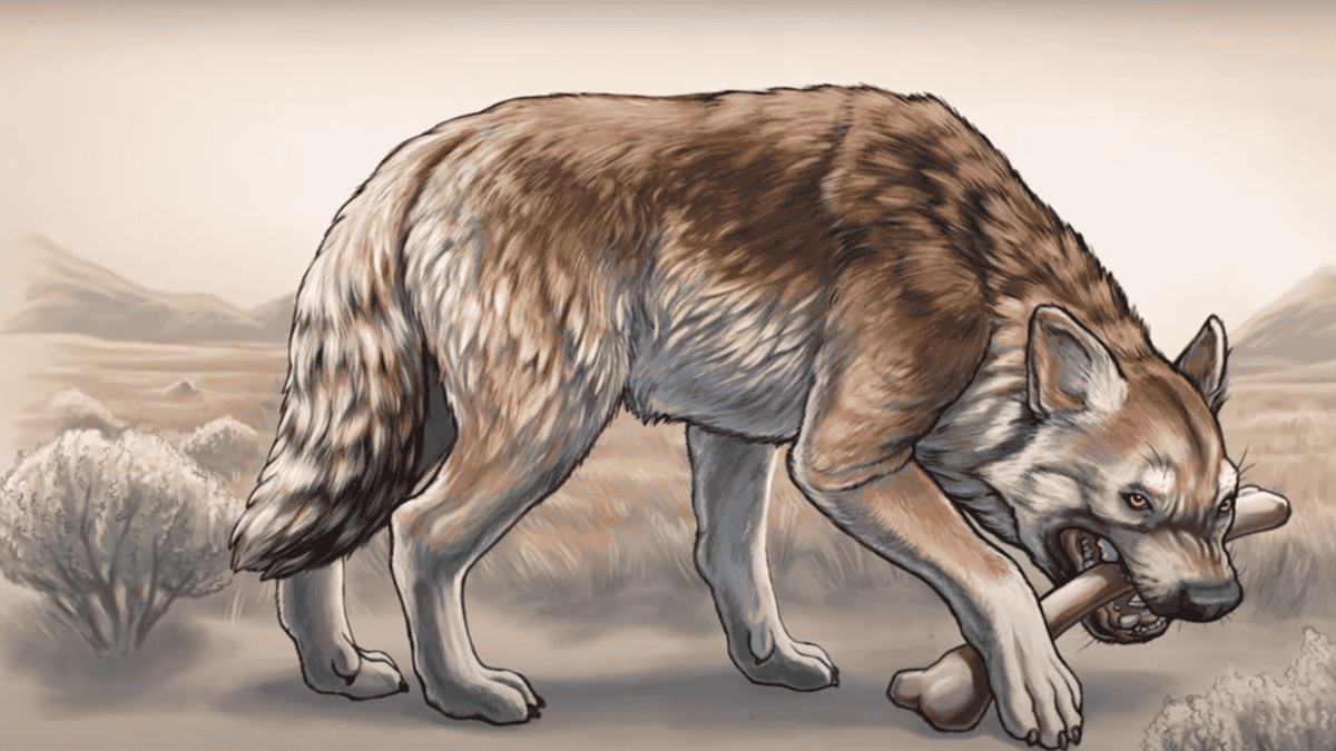 Ancient dog with a bone.