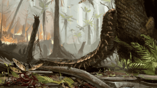 Giant Millipede From 340 Million Years Ago Was The Size Of A Car