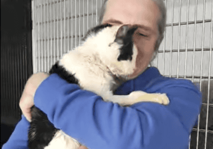 Heartwarming Long-Awaited Reunion Between Pet And Owners After Nearly Two Years