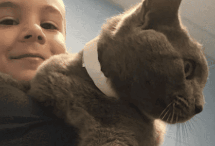 Boy Refuses to Leave Shelter Without This Elderly Cat