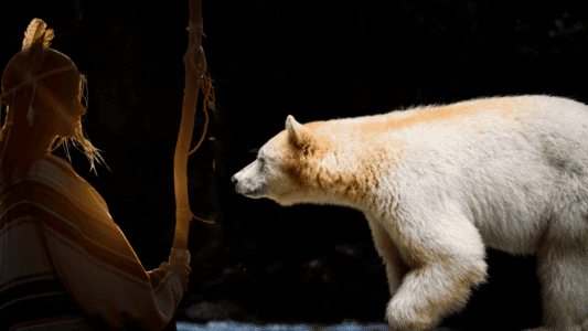 How the Bear Spirit Animal Represents Strength and CourageBear SpiritHow the Bear Spirit Animal Represents Strength and Courage