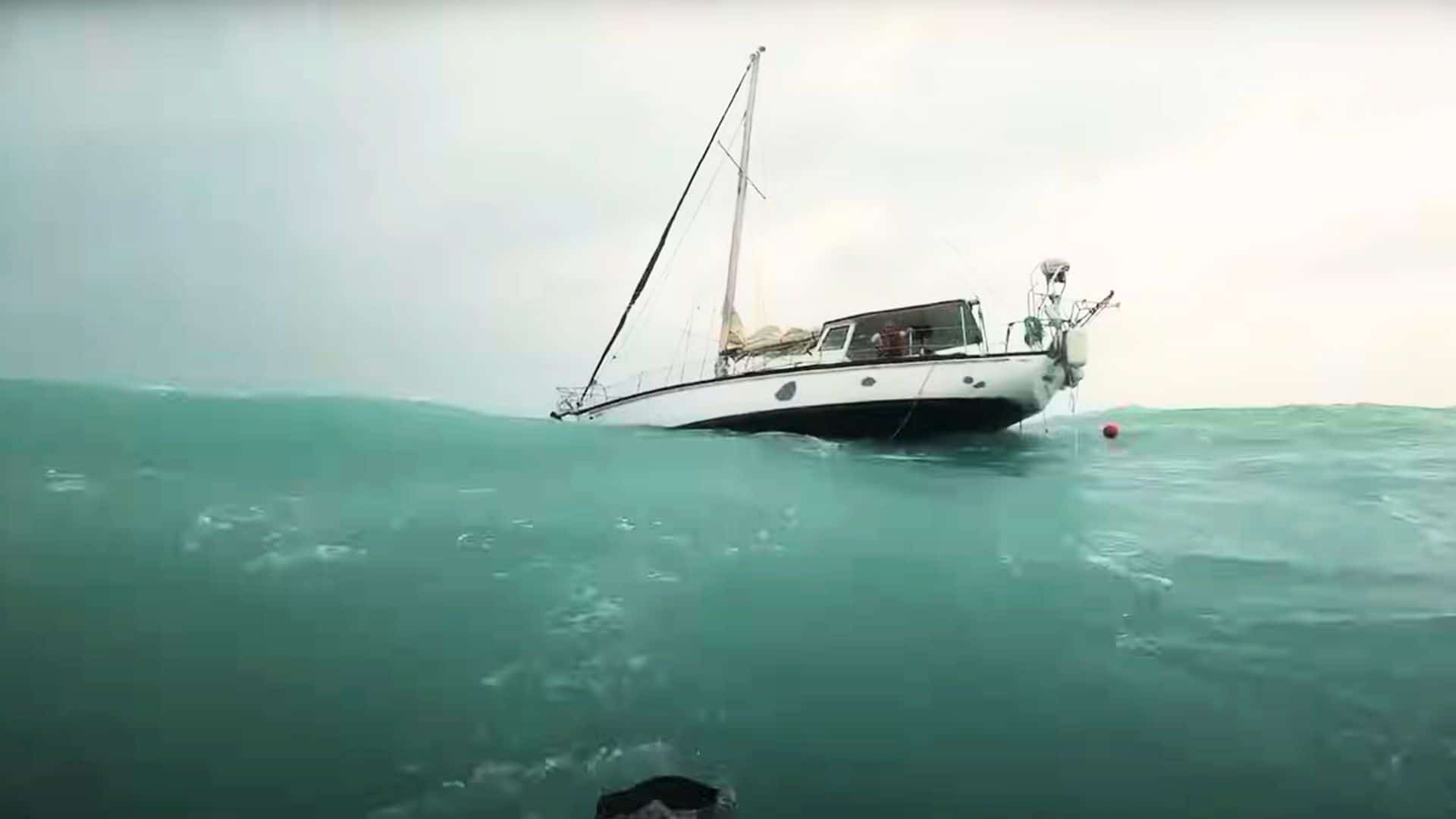 Coast Guard rescues man and dog