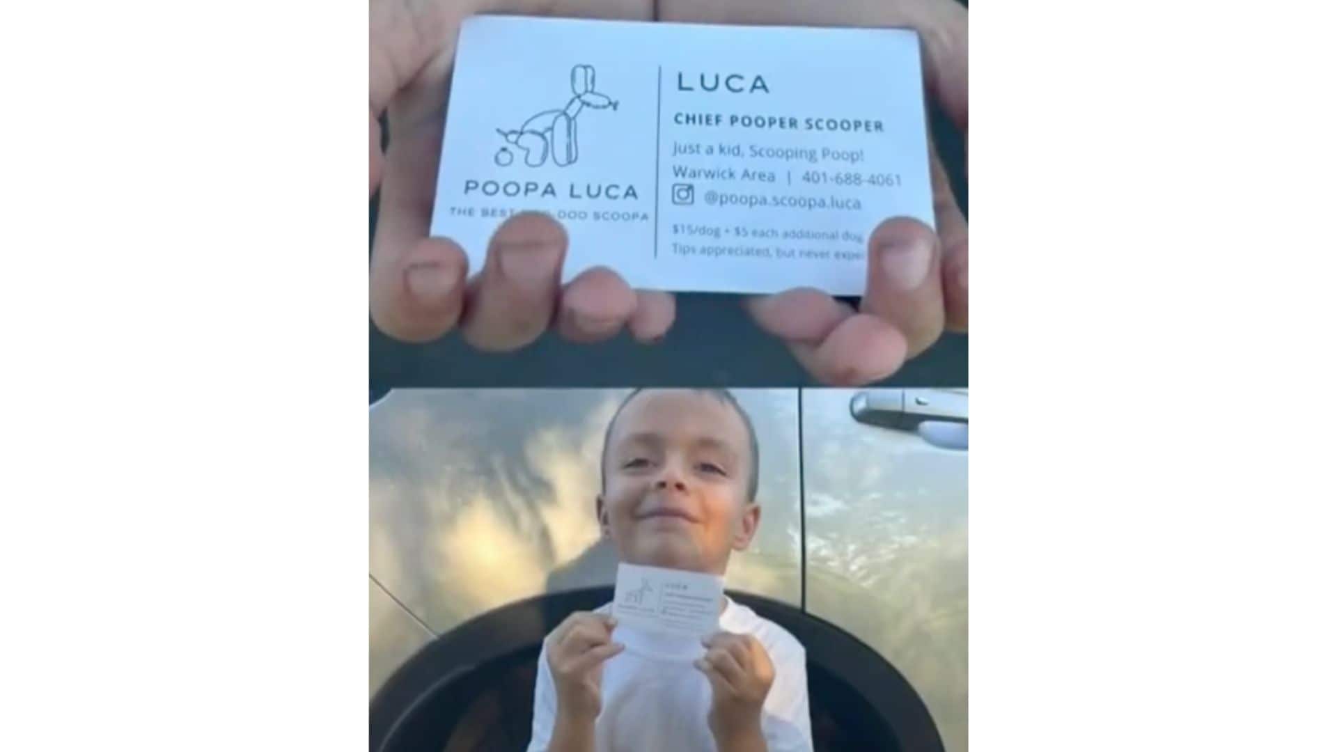 boy starts business to pay for cat adoption 
