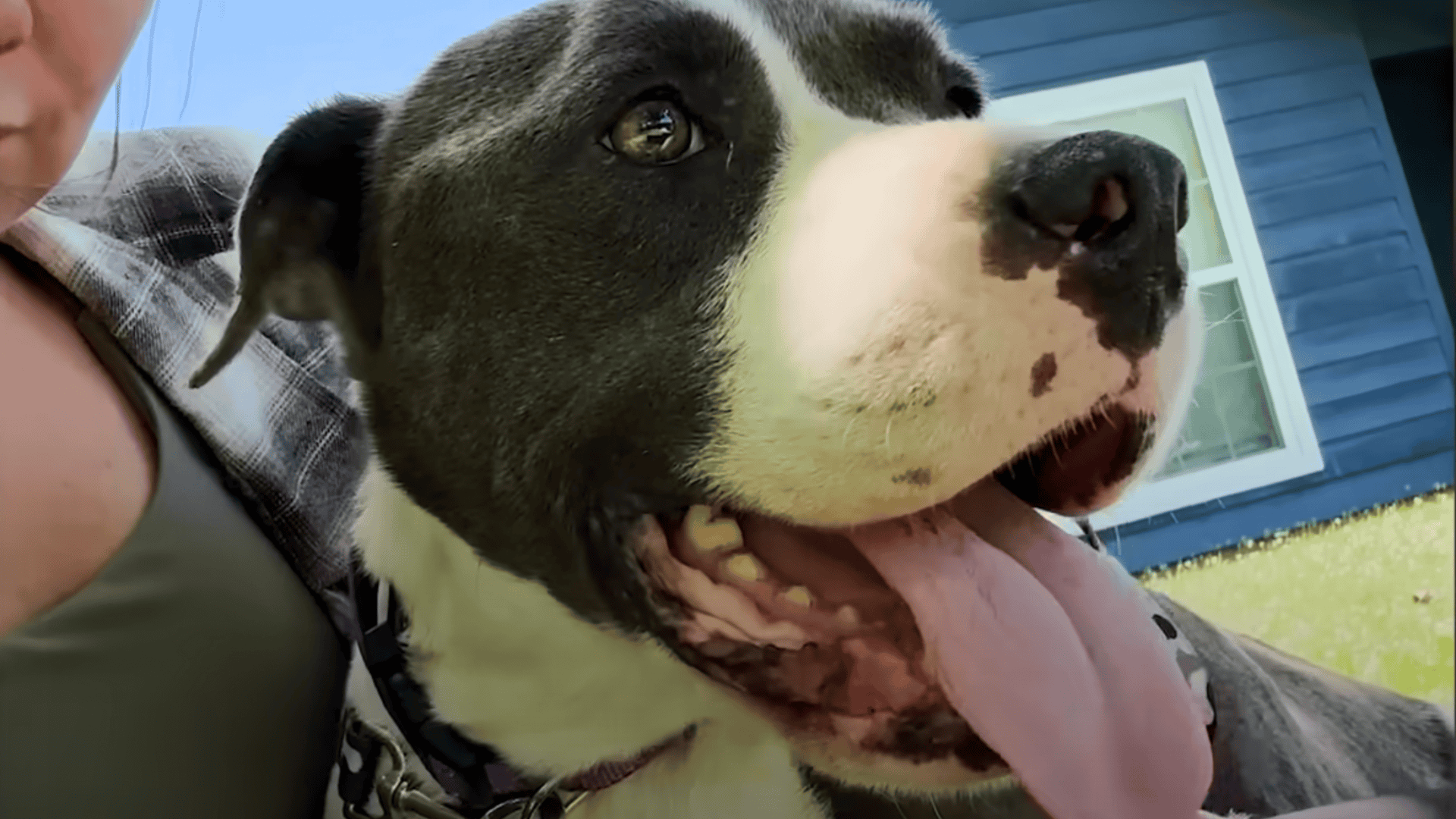 Belle smiling