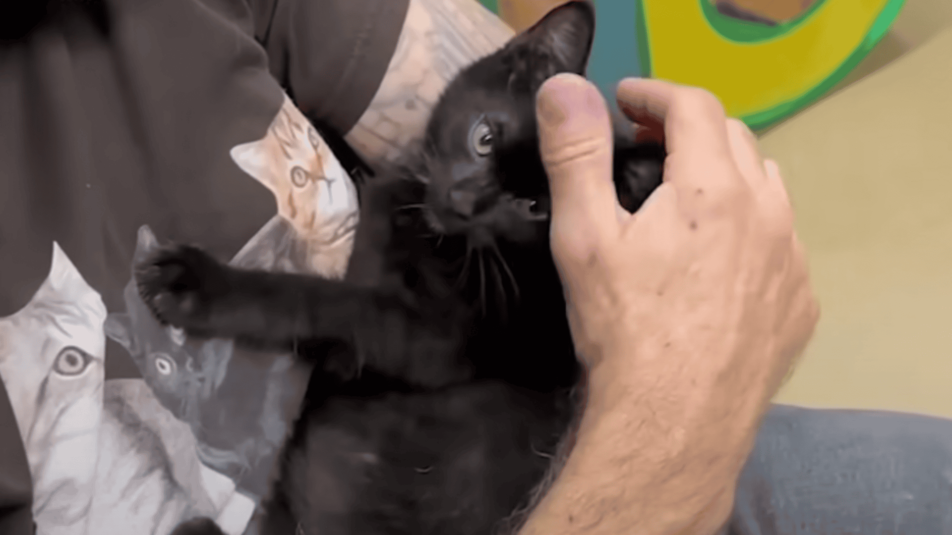 Javi loving cuddles