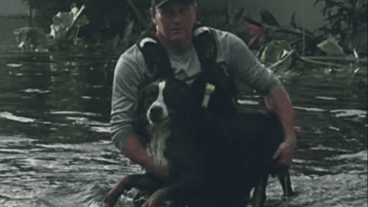 Dog&rsquo;s Eyes Filled with Gratitude After Fireman Saves It from Hurricane Floodwaters