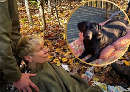 Woman Survives Four Days Lost in Maine Woods, Thanks to Her Protective Dog