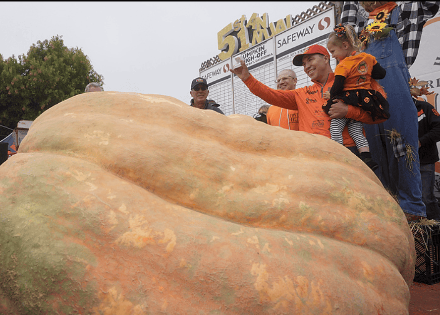 Travis Gienger's biggest pumpkin. 