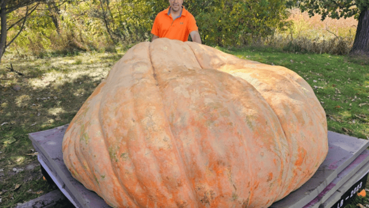 Meet the Monster Pumpkin That Weighed 2,471 Pounds and Won the Half Moon Bay Weigh-Off