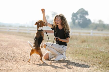 How to Teach Your Dog Basic Commands: A Beginner&rsquo;s Guide
