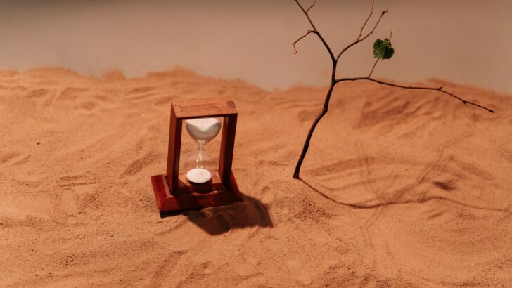 Circadian Rhythms: The Biological Clocks of Animals