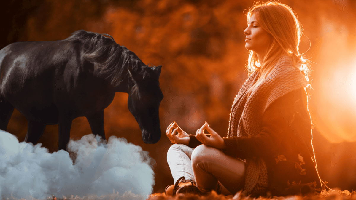 Spirit animal meditation