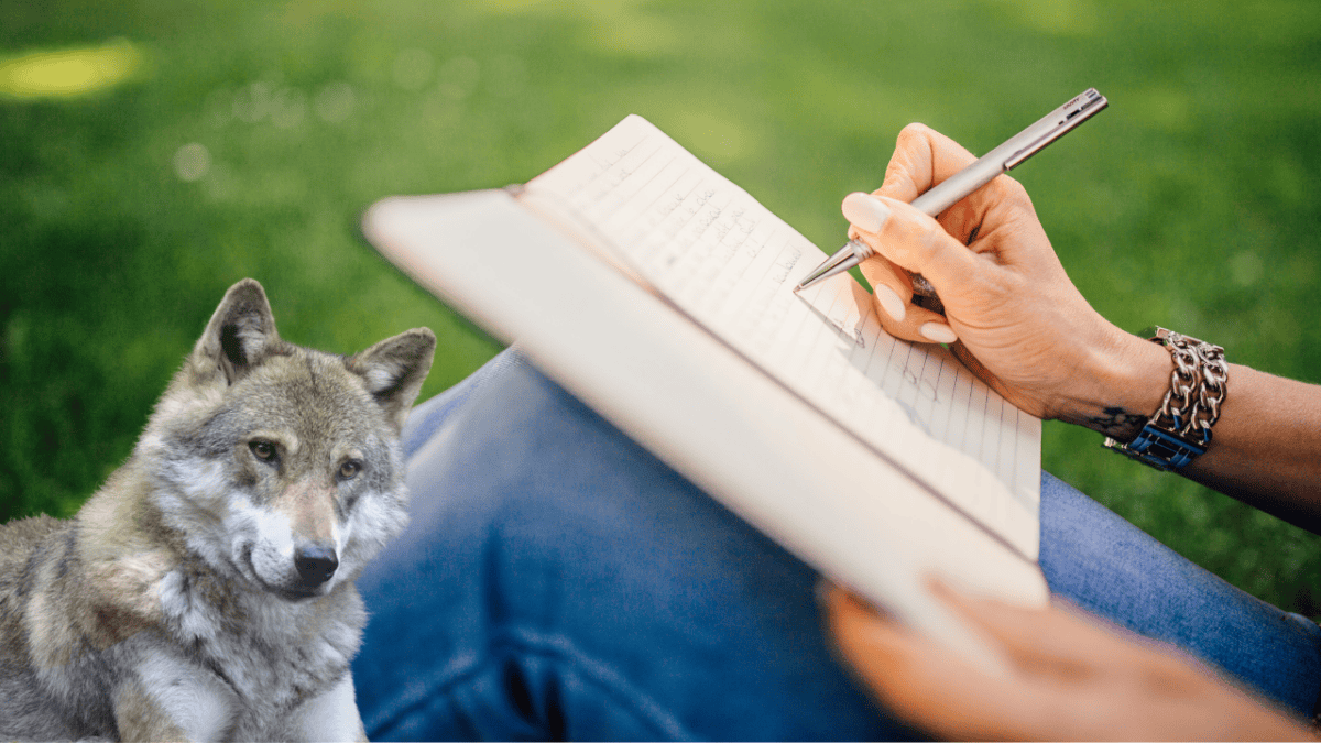 Journaling