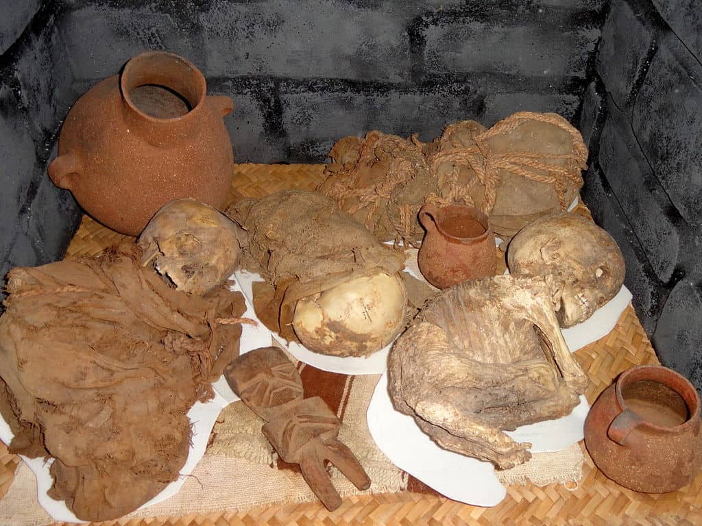 Mummies of the Andes 