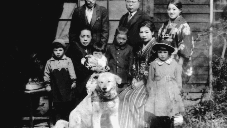 The Loyal Dog Who Waited at the Train Station for 9 Years