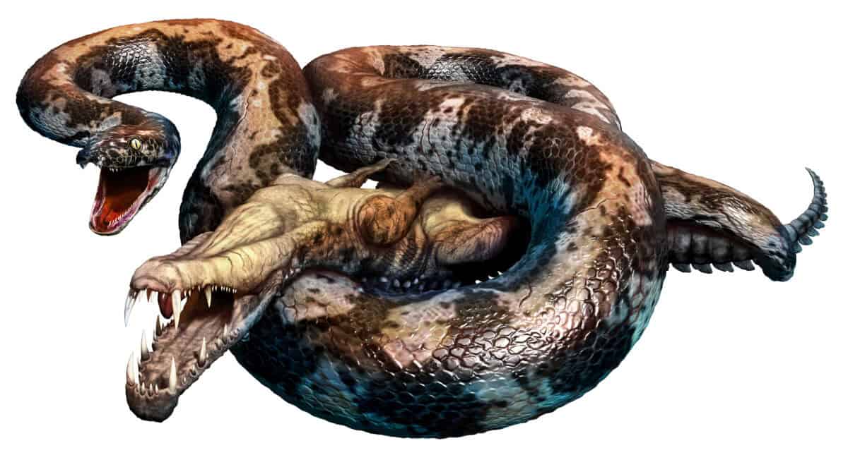 Titanoboa