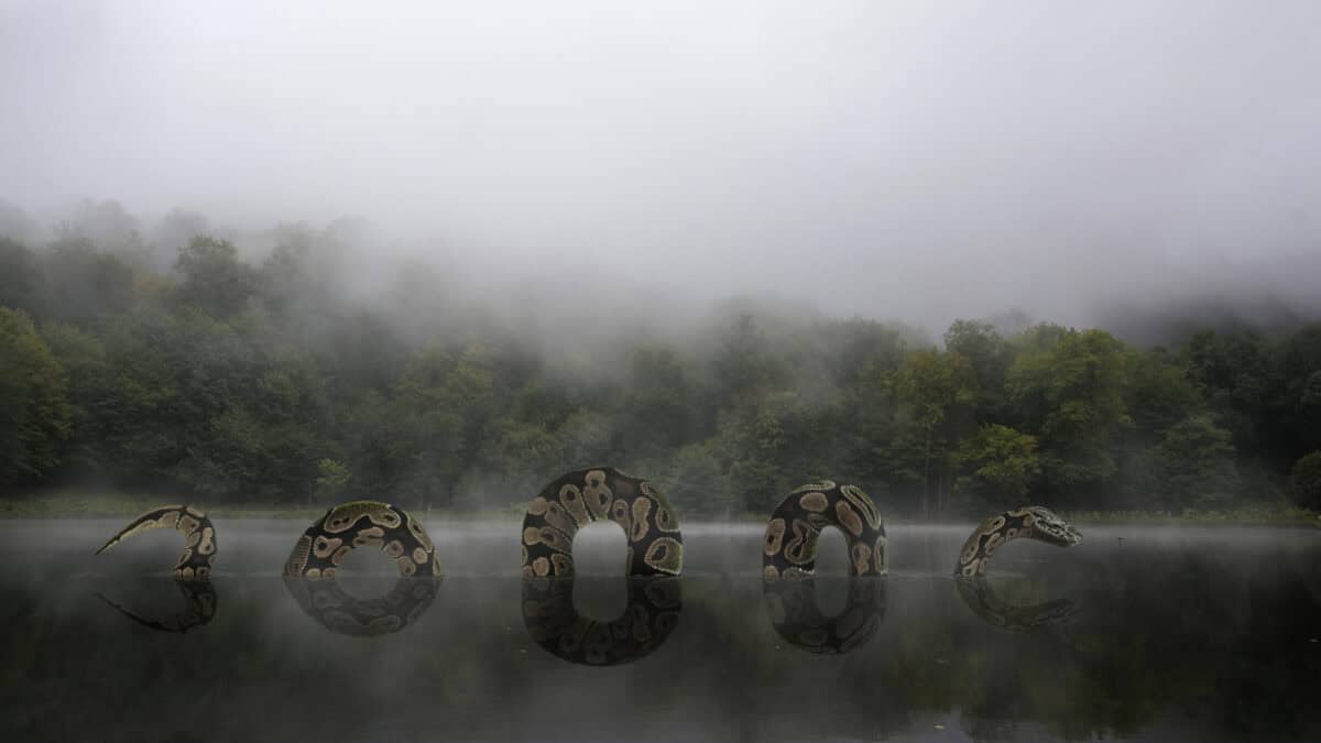 Titanoboa