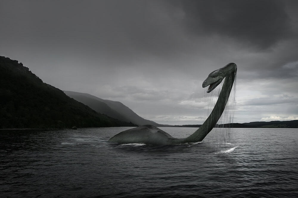 Loch Ness Monster in the sea.