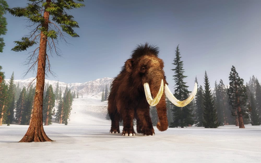 Mammoth walking on snow covered hills