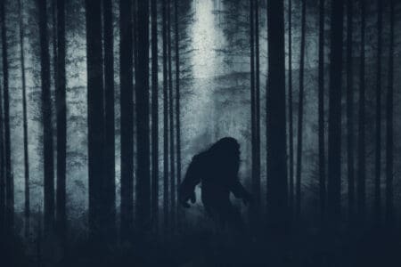 12 Mysterious Animal Sightings in the US That Have Never Been Explained