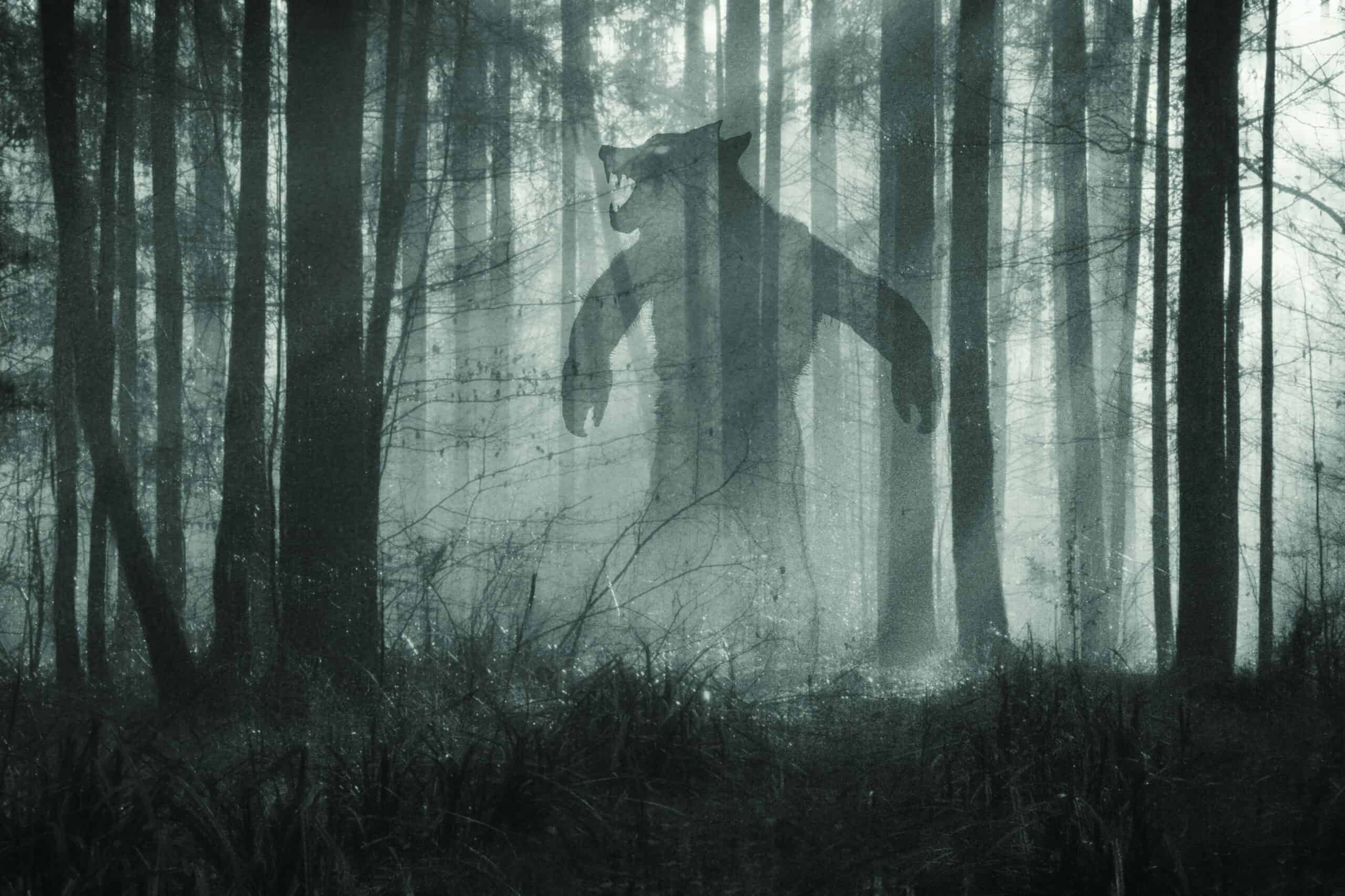 The World s Most Mysterious Creatures Still Eluding Science Animals The World s Most Mysterious Creatures Still Eluding Science Animals