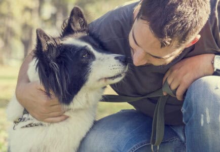 Avoid These Common Dog Training Mistakes for Better Results