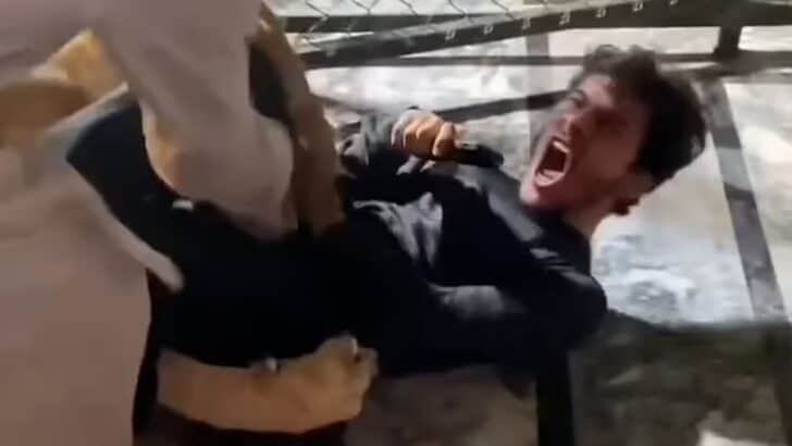Lion Attacks Screaming Man in Pakistan for Attempting to Take a Selfie