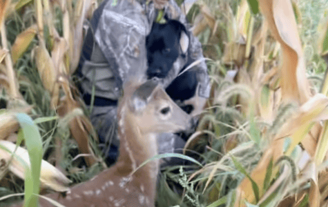 Dog&rsquo;s Encounter with a Deer Goes Viral