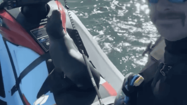 Sea Lion Climbs Onto A Man&rsquo;s Jetski