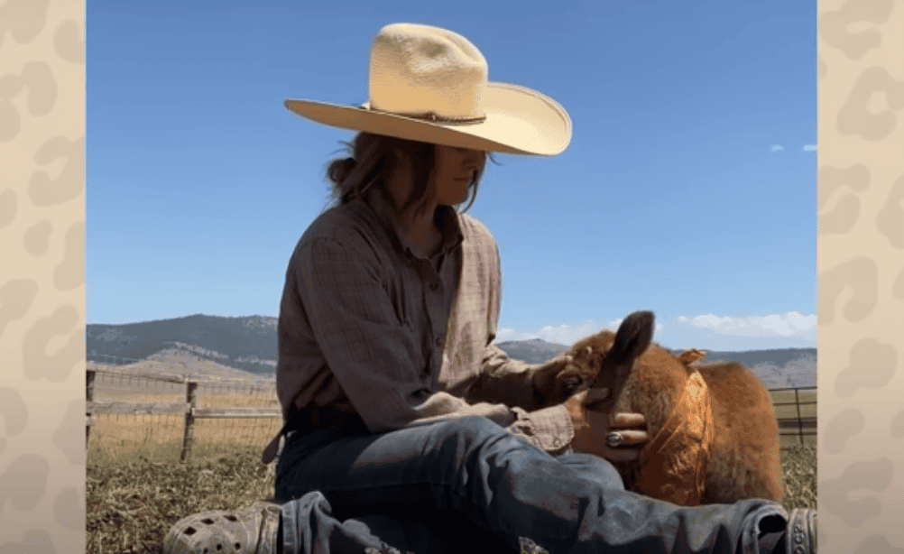Abandoned Baby Bison Adopted and Nurtured Back to Life by Incredible Woman