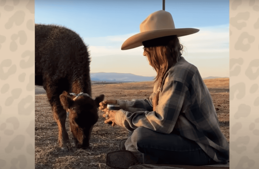 Abandoned Baby Bison Adopted and Nurtured Back to Life by Incredible Woman