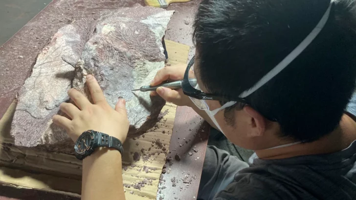 66-Million-Year-Old Dinosaur Fossils Mark Hong Kong’s First-Ever Paleontological Discovery