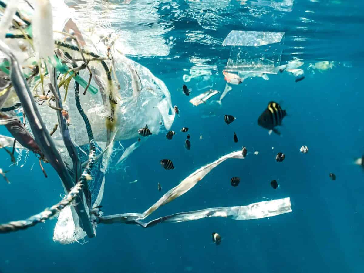 plastic waste