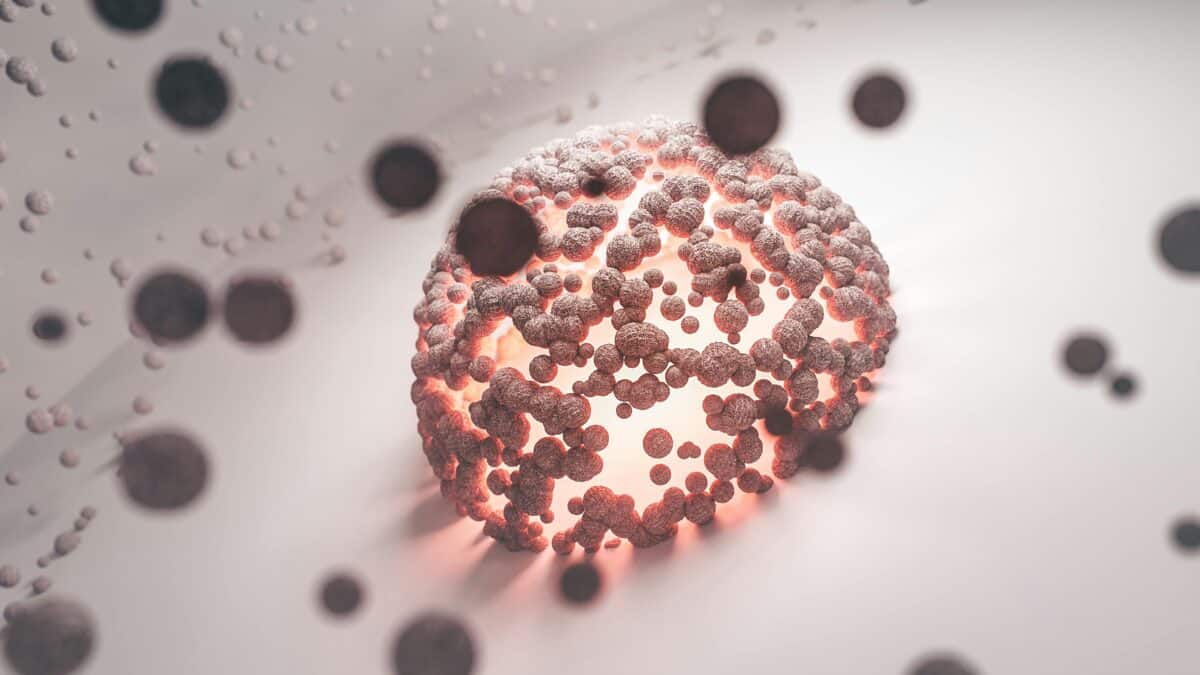 bacterium