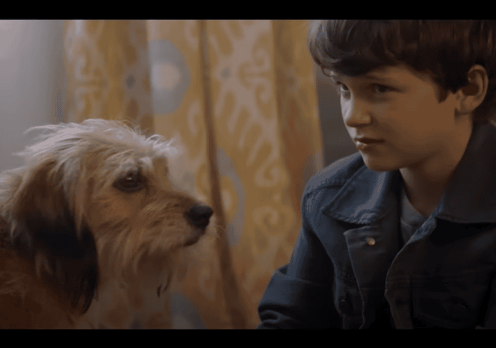 The 8 Best Dog Movies Of All Time For Ultimate Furry Feels