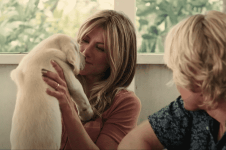 The 8 Best Dog Movies of All Time for Ultimate Furry Feels