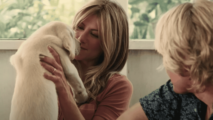 The 8 Best Dog Movies of All Time for Ultimate Furry Feels