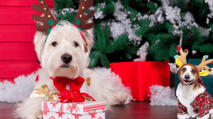 Unleash Holiday Magic: Create Viral AI Candy Cane Dog Portraits with ChatGPT