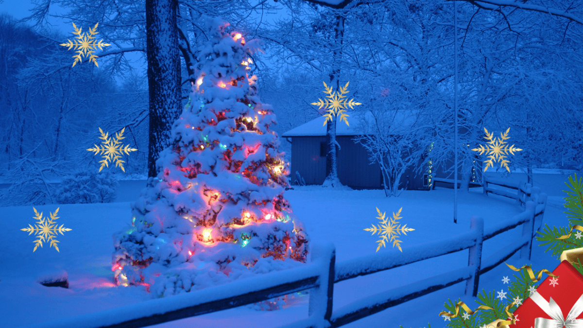 Christmas outdoor scene