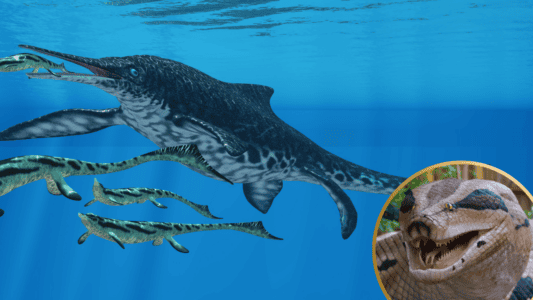 The Top Ten Most Epic Dinosaur Discoveries of 2024