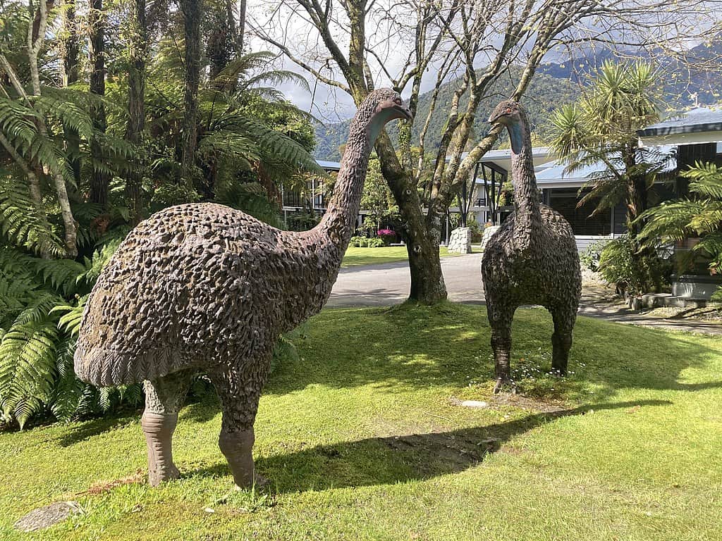 Giant Moa Replicas