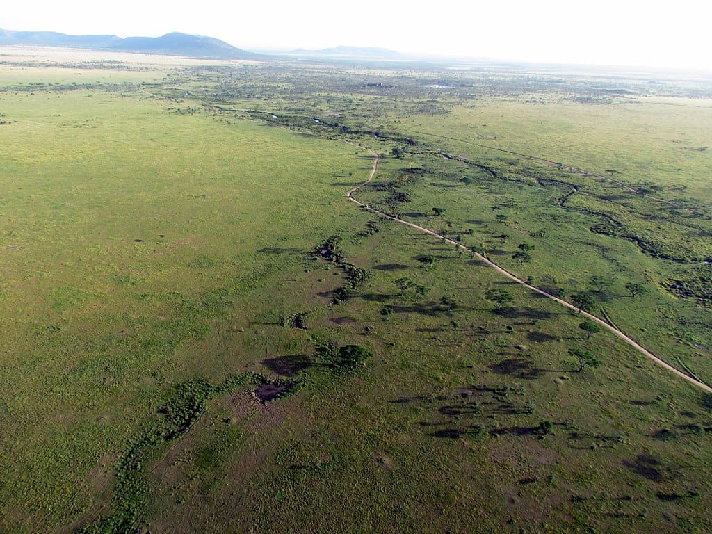 Serengeti
