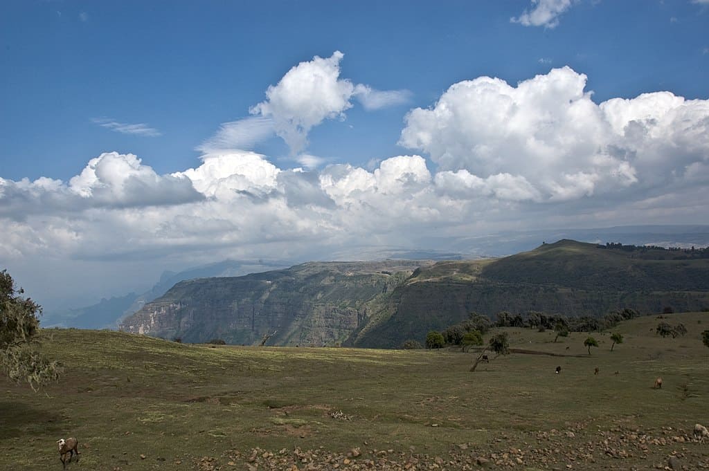 Simien Mountains 