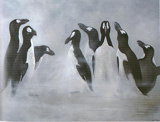 A painting of the extinct Great Auk. Oil On Panel.