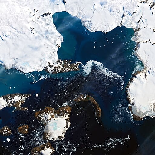 Antarctica Melts Under Its Hottest Days on Record