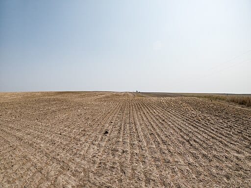 Barren wheatfield, Malta, Montana